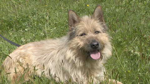 Chcete mě? - Chcete je?