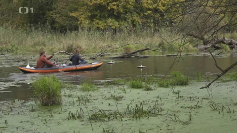 Týden v regionech (Brno) - 12. listopadu 2022