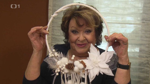 Hobby naší doby - 23. února 2019