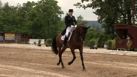 Jezdectví - Mezinárodní závody v drezuře CDI-W Brno