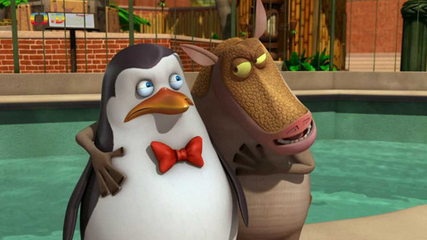 Tučňáci z Madagaskaru - Frakostein / Přežití v betonové džungli