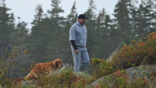 Jesse Stone: Ztracená nevinnost