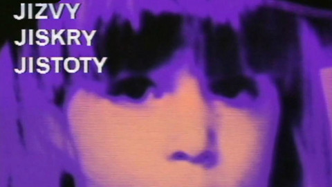 Jizvy, jiskry, jistoty