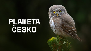 Planeta Česko