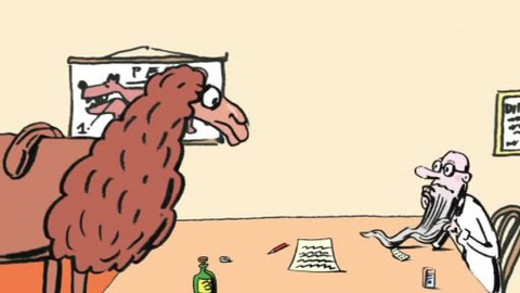 Doktor Animo - 5/13 Jak čáp nechtěl stavět hnízdo