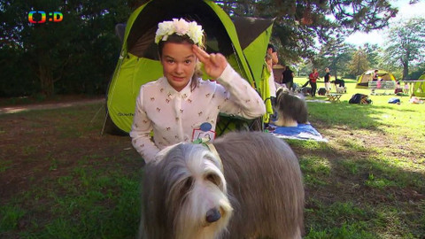 Terčin zvířecí svět - 7. prosince 2018