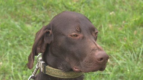 Chcete mě? - Chcete je?