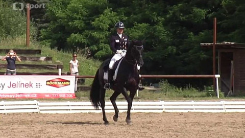 Jezdectví - Mezinárodní závody v drezuře CDI-W Brno