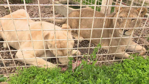 Zkraje - 18. října