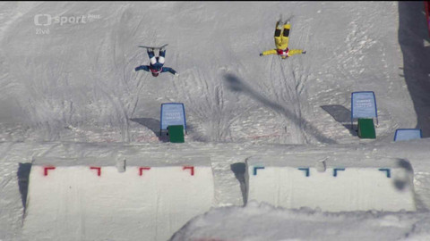 Světový pohár ve freestyle lyžování - Francie