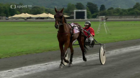 Dostihy - Derby hlavního města Prahy