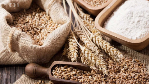 Polopatě - 2. března