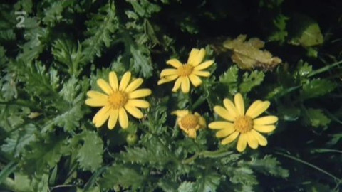 Nedej se! - Přírodní rezervace Rohová u Svitav