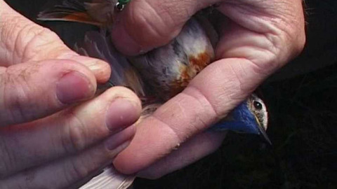 PORT - 26. září 2007