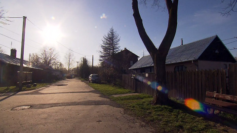 Nedej se! - Živá komunita Bedřiška