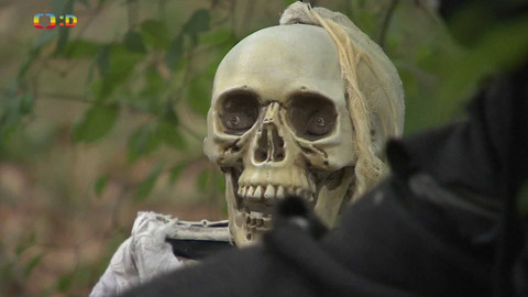 Zprávičky - 29. září