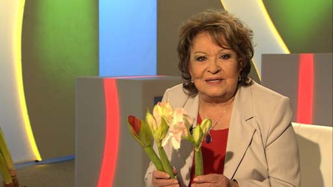 Hobby naší doby - 6. února 2016