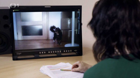 Infiltrace - Obchod se soucitem