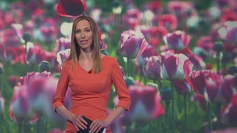 Horizont ČT24 - 15. května 2016