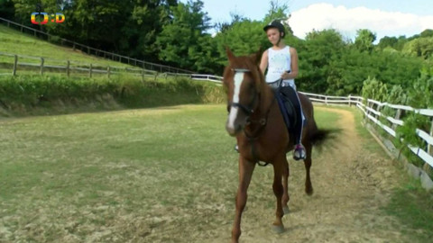 Zprávičky - 18. srpna 2019