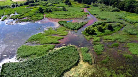 Česko a Evropa řeší klima - Epizoda 4/4