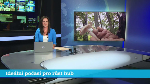 Události v regionech (jih a západ) - 30. května 2024