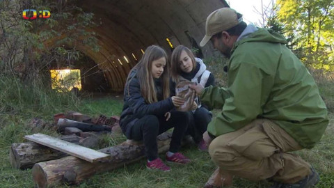 Zprávičky - 26. října 2021