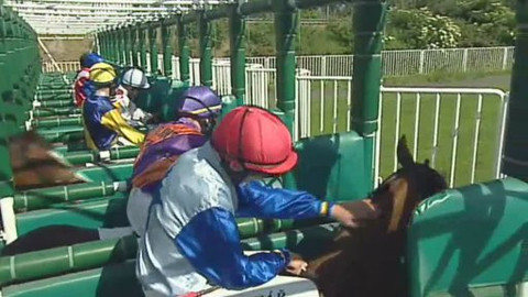 Jezdectví - Velká květnová cena