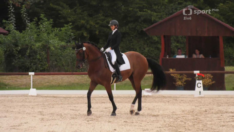 Jezdectví - MČR v drezuře Brno