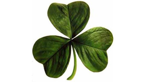 Bohoslužby v České televizi - Svátek sv. Patrika