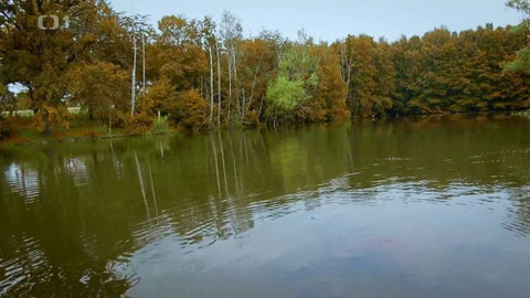 Kapka vody - Invazivní druhy karasů