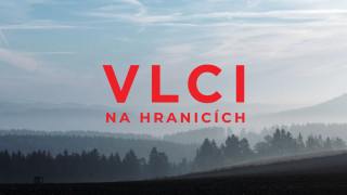 Vlci na hranicích!