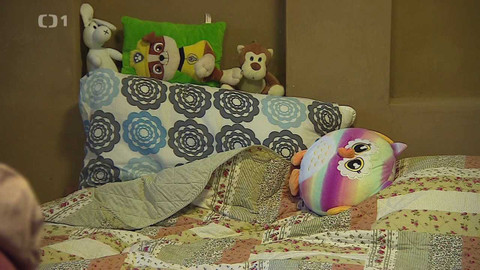 Týden v regionech (Brno) - 12. března 2022