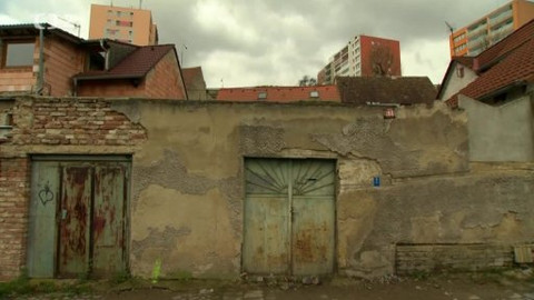 Folklorika - Život v kolonii