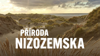 Příroda Nizozemska