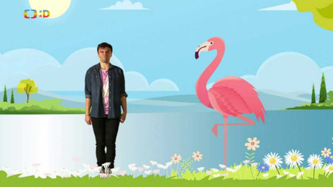 PLANETA YÓ - 9. listopadu 2020