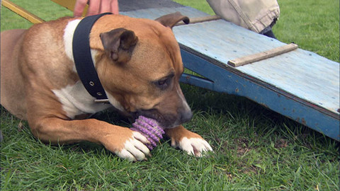 Zoománie - Epizoda 3/17