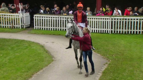 Turf - 28. října 2015