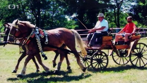 Toulavá kamera - 14. září 2014