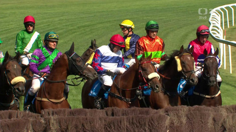 Velká pardubická - III. kvalifikace na 134. Velkou pardubickou se Slavia pojišťovnou