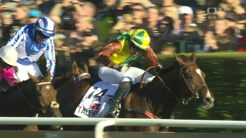 Velká pardubická - 132. Velká pardubická se Slavia pojišťovnou