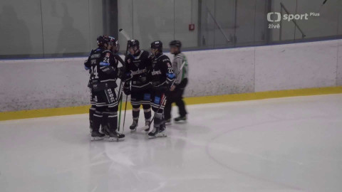 Univerzitní liga ledního hokeje - BLACK DOGS BUDWEIS - VŠE Falcons Prague