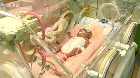 Ta naše povaha česká - Za každou cenu?