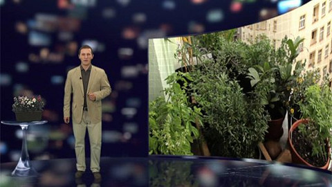 Tajemství zdravého života - 75/100 Zahrádkaření ve městě