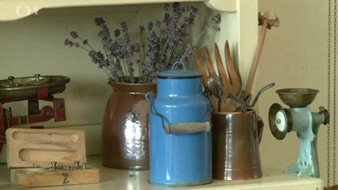 Toulavá kamera - 1. listopadu 2015