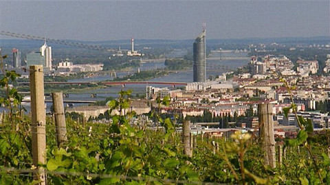 Putování za vínem - 1/15 Vídeň, Weinviertel