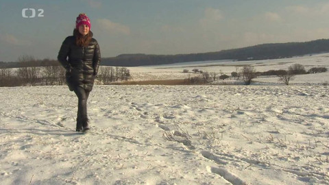 Nedej se! - Krajinný svéráz