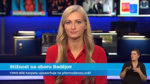 Události v regionech (Brno) - 13. listopadu