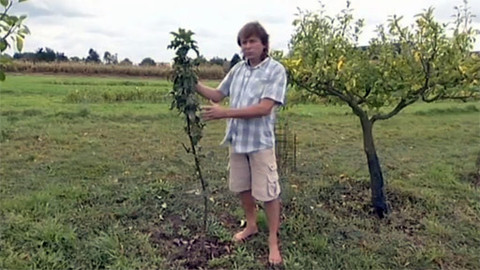 Zahrada pod lupou - 26. října 2011