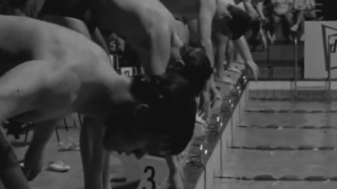 Televizní noviny - 8. března 1968